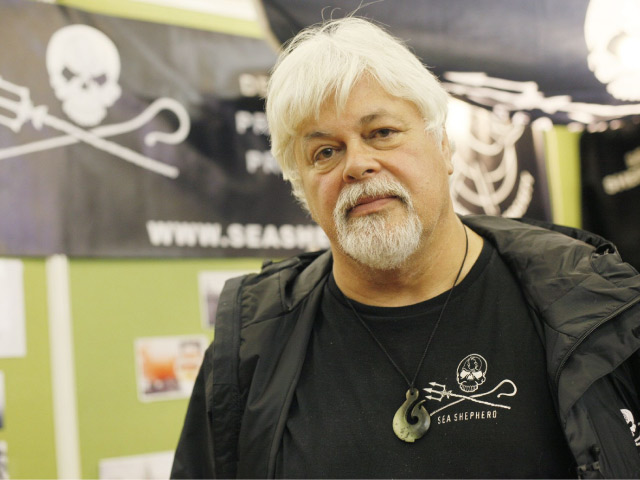 Lumière sur la libération de Paul Watson